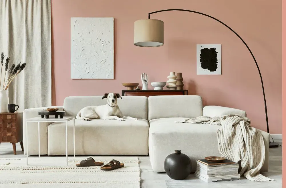 Sherwin Williams Rachel Pink cozy living room