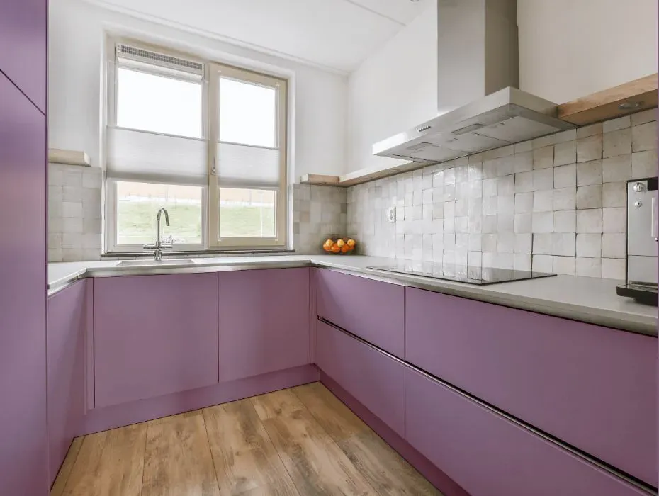 Sherwin Williams Radiant Lilac small kitchen cabinets