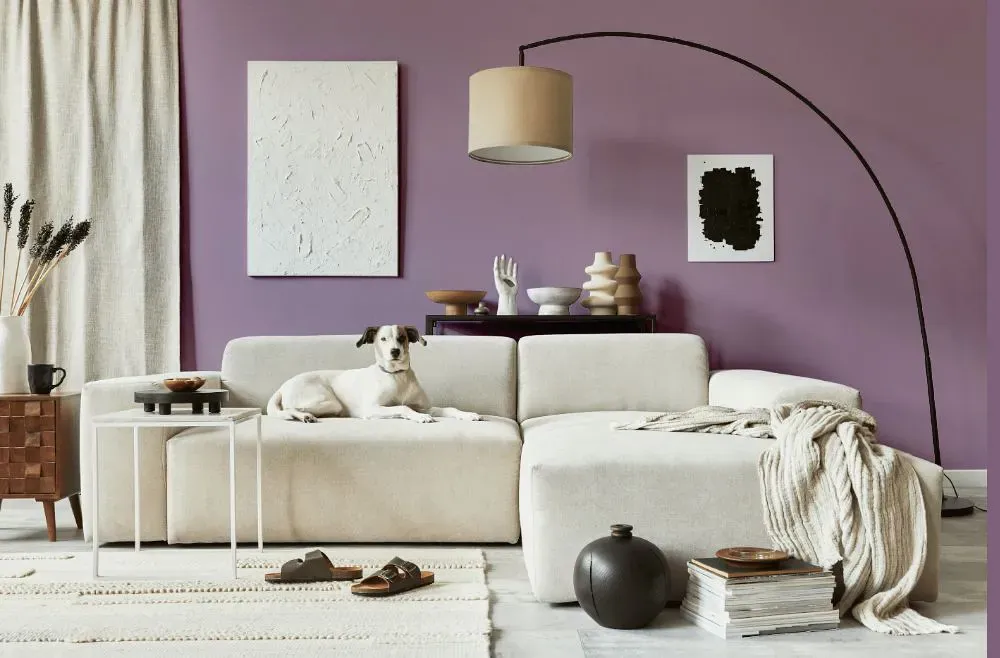 Sherwin Williams Radiant Lilac cozy living room