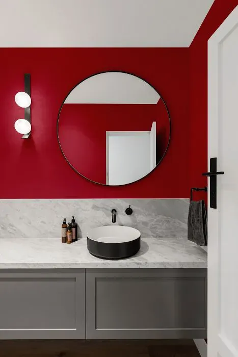 Sherwin Williams Radish minimalist bathroom
