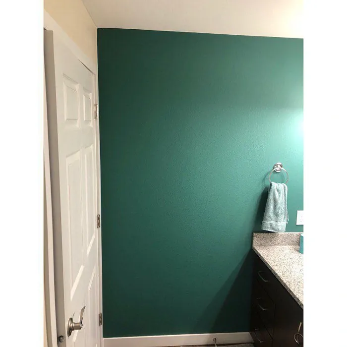 Sw Raging Sea Accent Wall