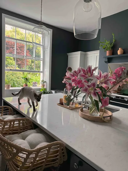 Farrow and Ball Railings kitchen interior