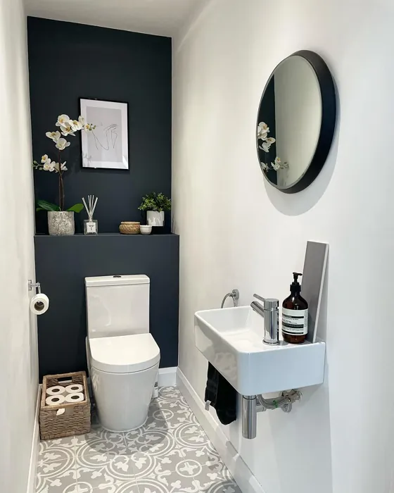 Farrow and Ball Railings bathroom accent wall