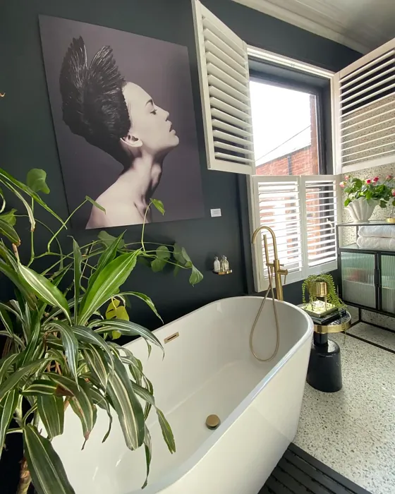 Farrow and Ball Railings stylish bathroom review