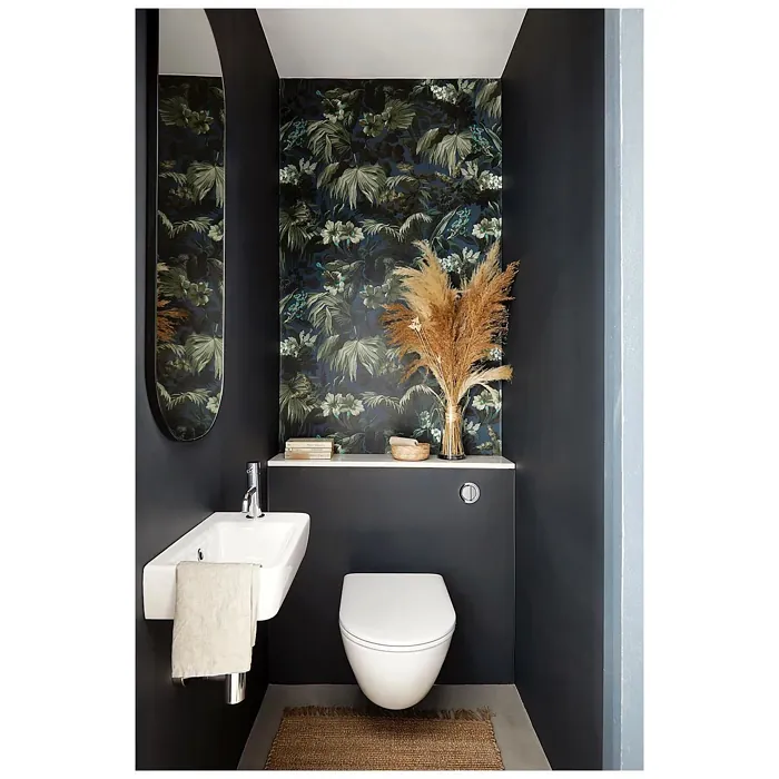 Farrow and Ball Railings dark bathroom paint