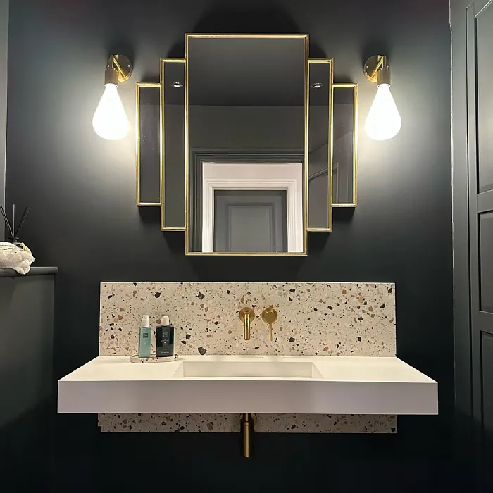 Farrow and Ball Railings bohemian bathroom color