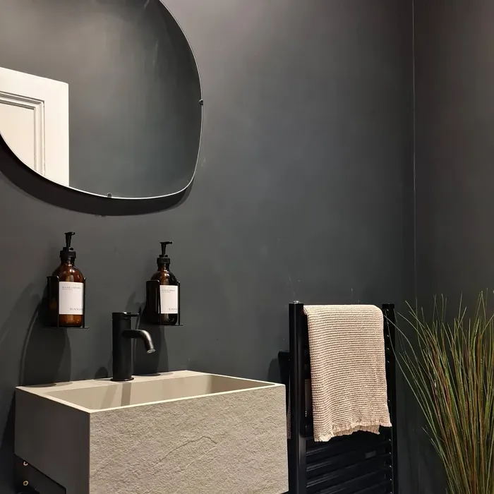 Farrow and Ball Railings minimalist bathroom color