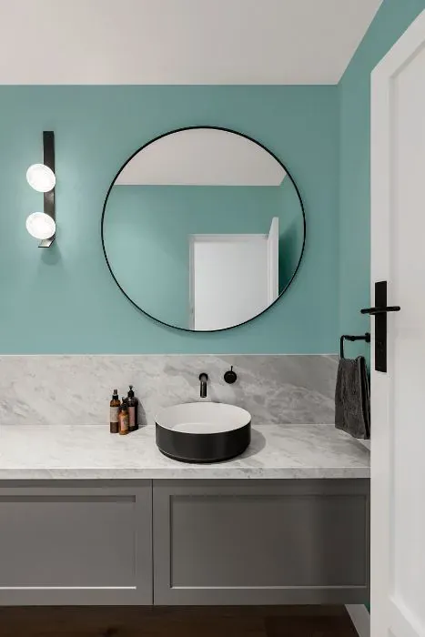 Sherwin Williams Raindrop minimalist bathroom
