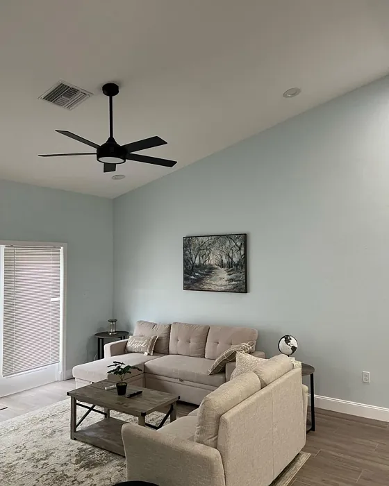 Sherwin Williams Rainsong living room color