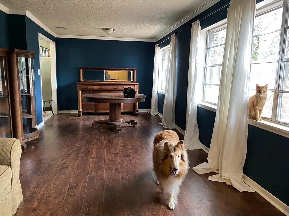 SW Rainstorm living room interior