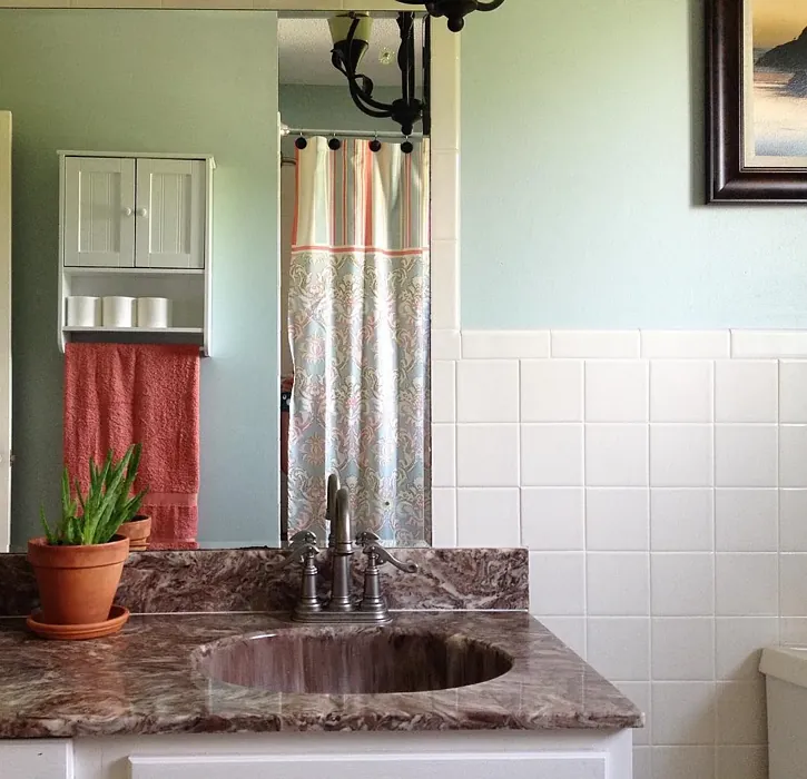 SW Rainwashed bathroom color review