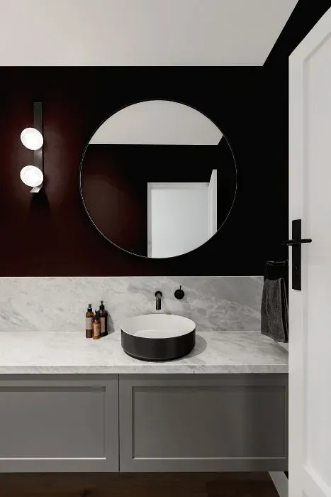 Sherwin Williams Raisin minimalist bathroom
