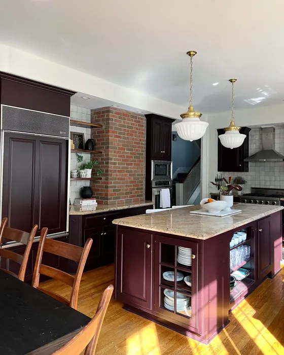 Sherwin Williams Raisin kitchen cabinets paint