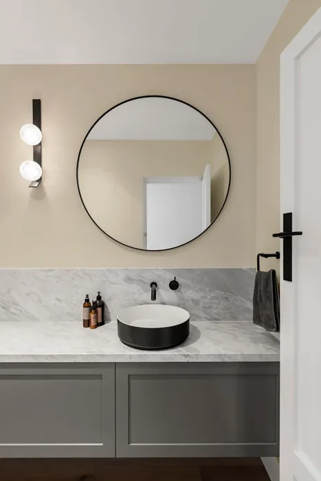 RAL Effect undefined RAL 780-1 minimalist bathroom