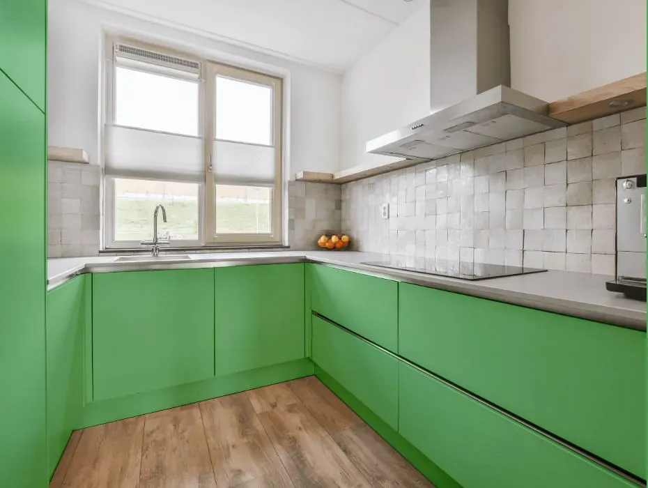 Sherwin Williams Rally Green small kitchen cabinets