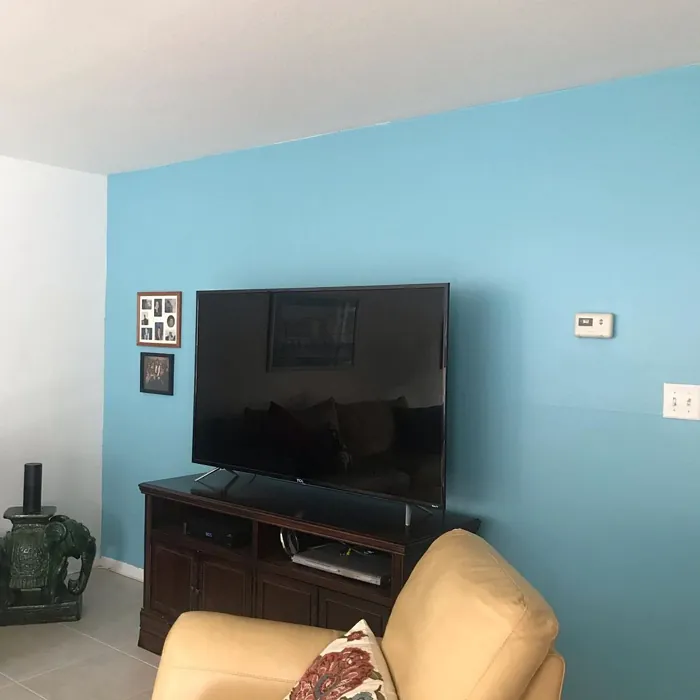 Sherwin Williams Rapture Blue Accent Wall