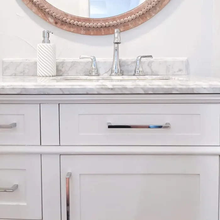 Sherwin Williams Rarified Air Bathroom Vanity