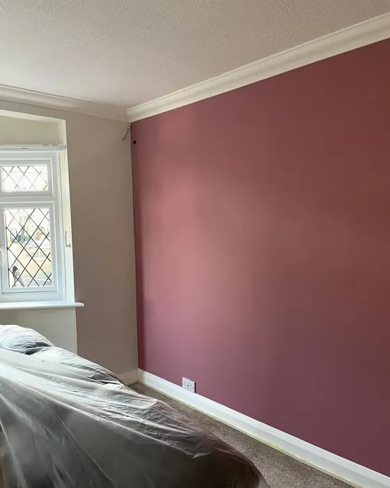 Dulux Raspberry Diva accent wall 