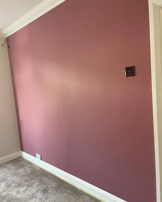 Dulux Raspberry Diva wall paint 