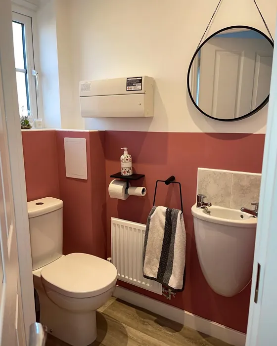 Dulux Raspberry Diva bathroom color-block