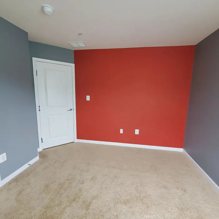 Sw Rave Red Accent Wall