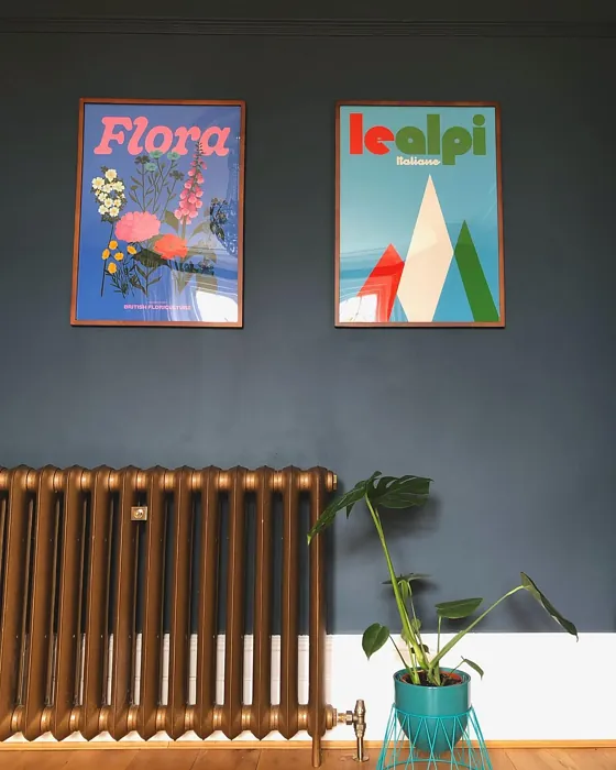 Raven Plume wall paint color