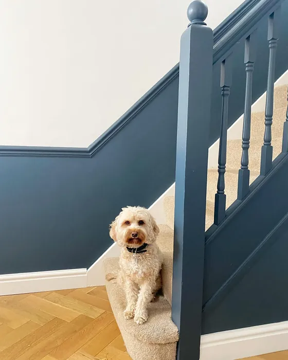 Raven Plume stairs color