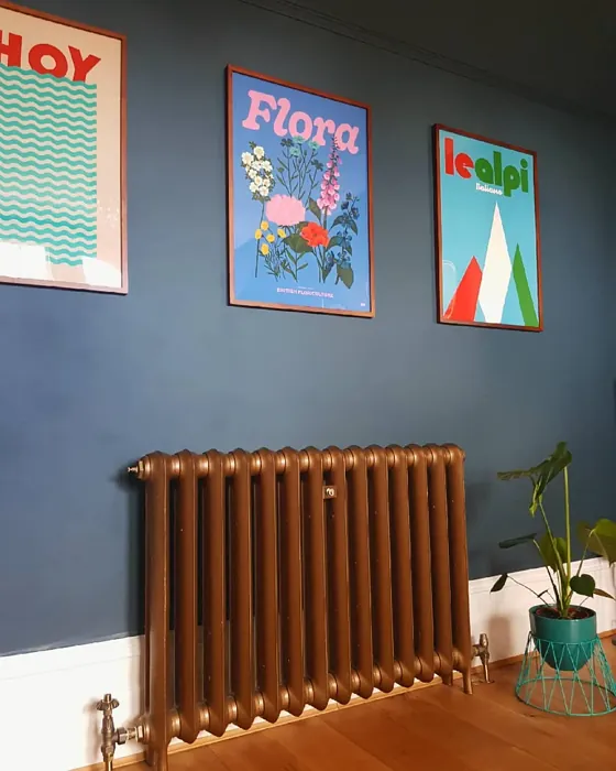 Raven Plume wall paint color