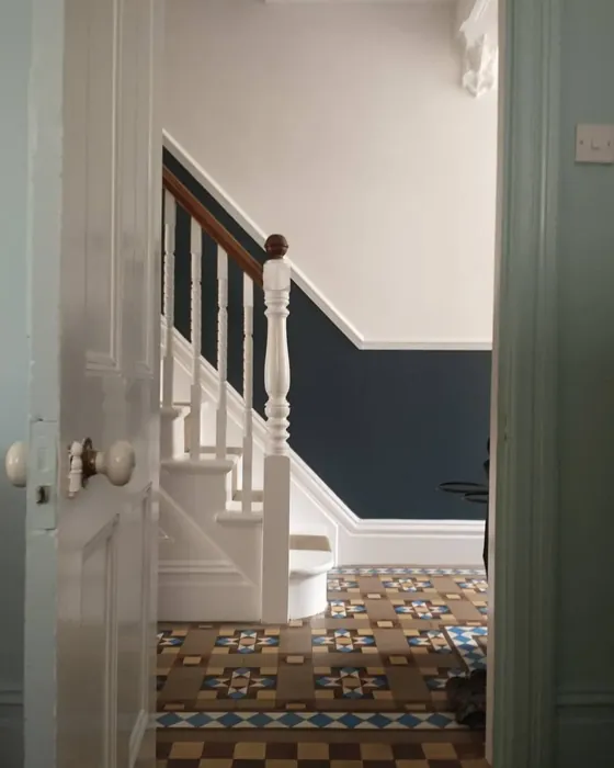 Raven Plume hallway color