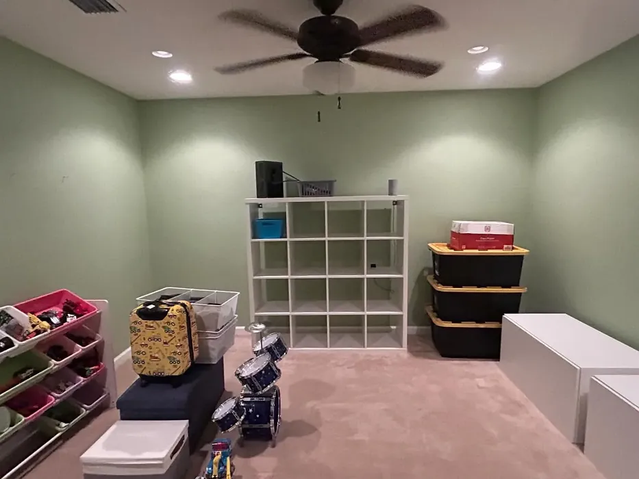 Sherwin Williams Recycled Glass kids' room makeover