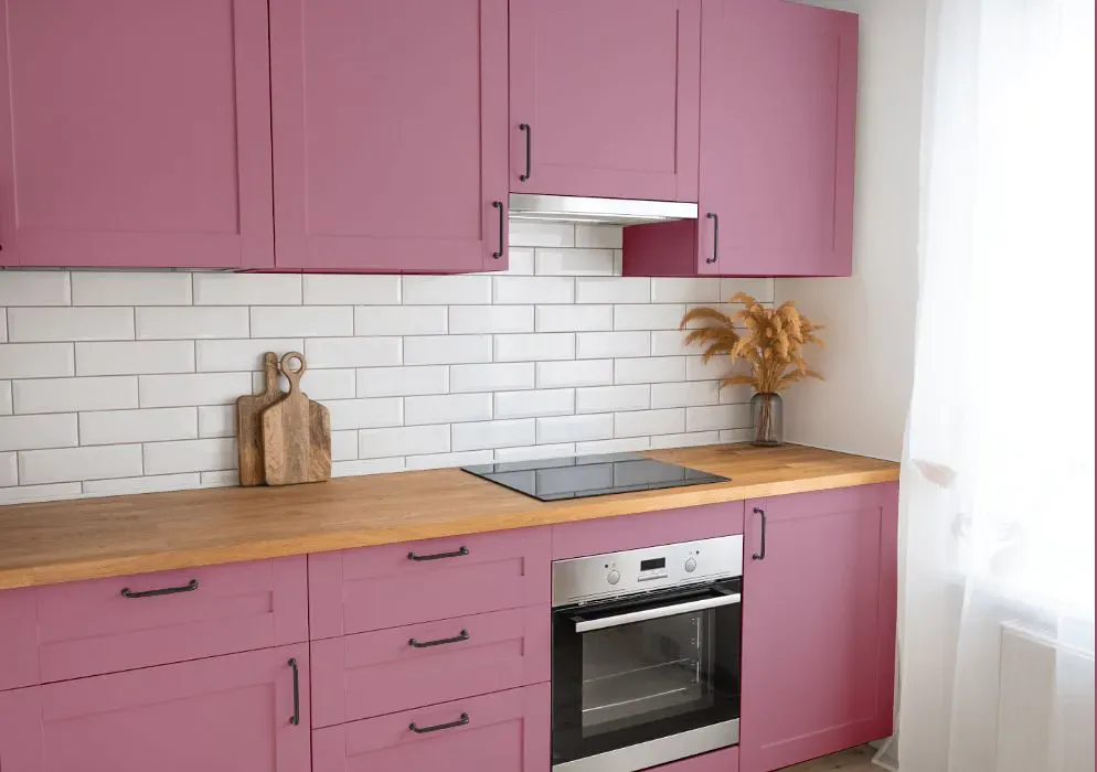 Sherwin Williams Red Clover kitchen cabinets