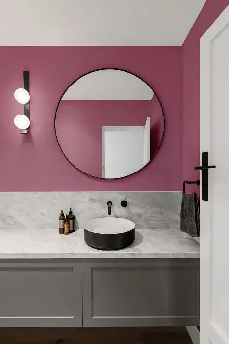 Sherwin Williams Red Clover minimalist bathroom