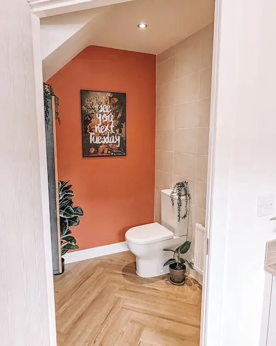 Farrow and Ball Red Earth bathroom red accent wall