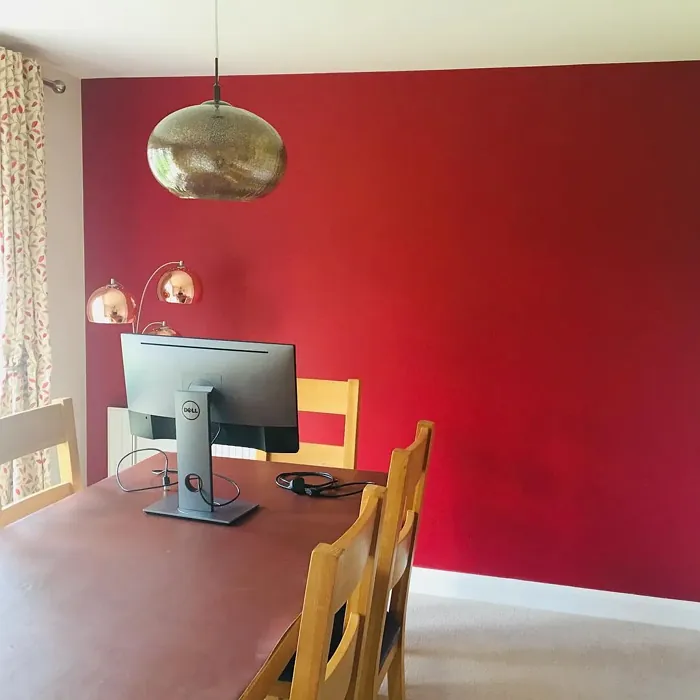 Dulux Redcurrant Glory dining room accent wall