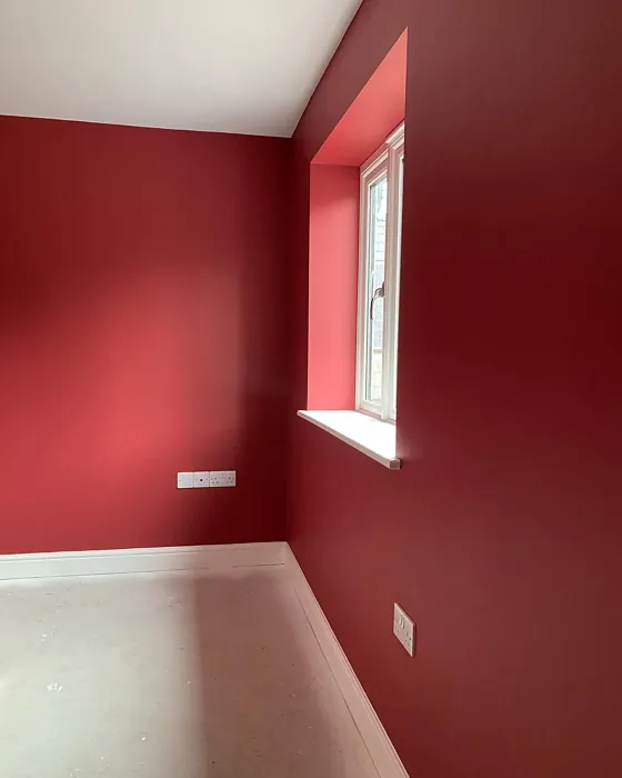 Dulux Redcurrant Glory wall paint 