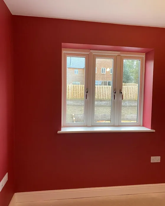 Redcurrant Glory wall paint 