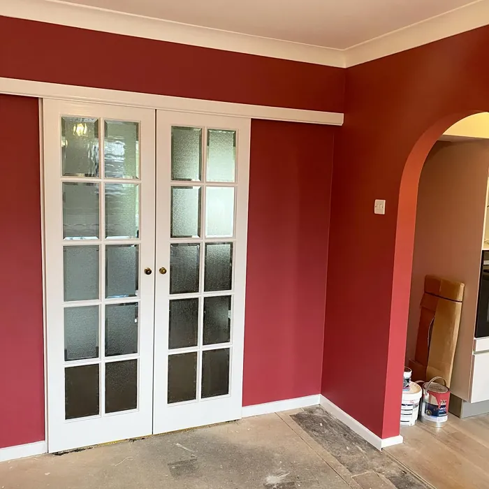 Redcurrant Glory living room paint