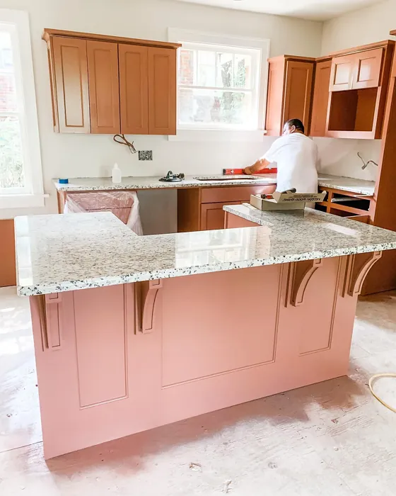 Sw Reddened Earth Kitchen Cabinets