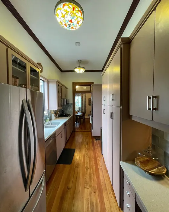 SW Redend Point kitchen cabinets color review