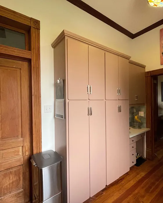 SW Redend Point kitchen cabinets paint review