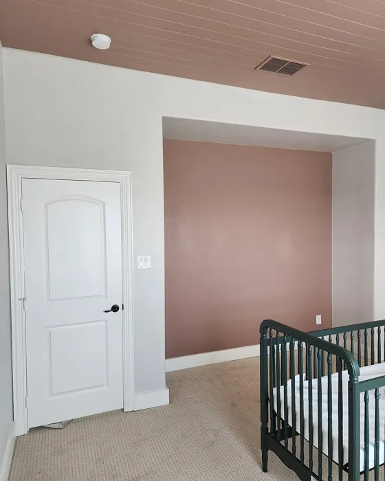 SW Redend Point nursery accent wall