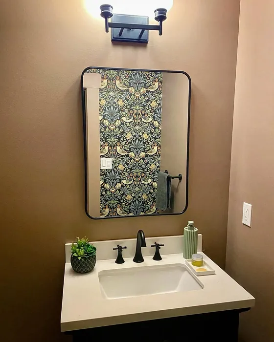 Sherwin Williams Redend Point bathroom accent wall