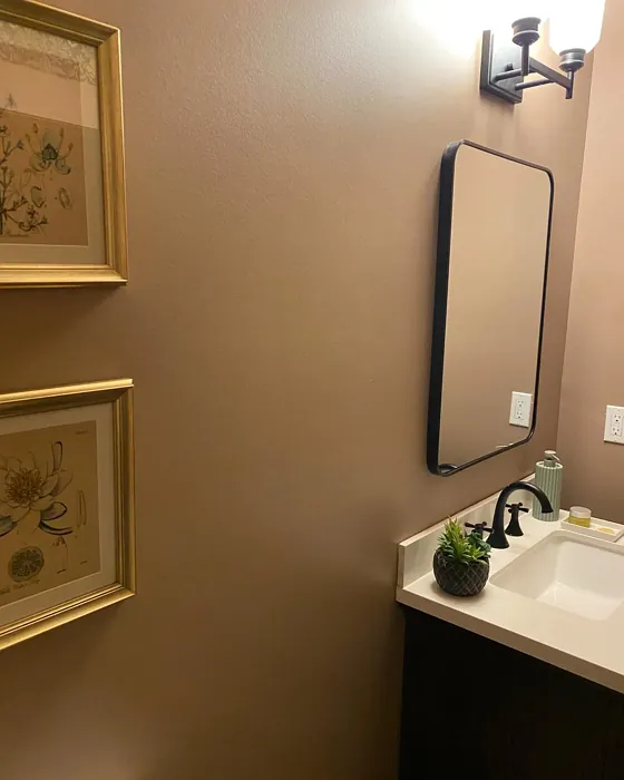 Sherwin Williams Redend Point bathroom color