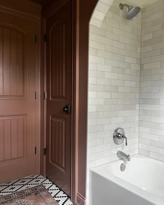 Sherwin Williams Redend Point bathroom paint