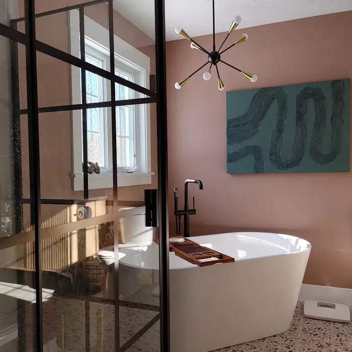 Sherwin Williams Redend Point stylish bathroom interior