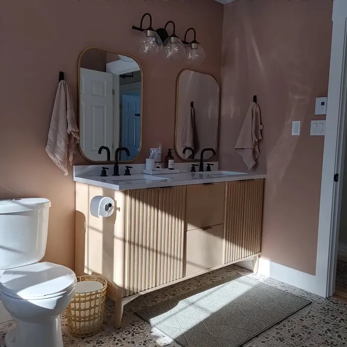 Sherwin Williams Redend Point stylish bathroom 