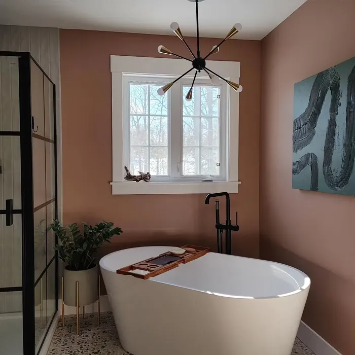Sherwin Williams Redend Point stylish bathroom color review
