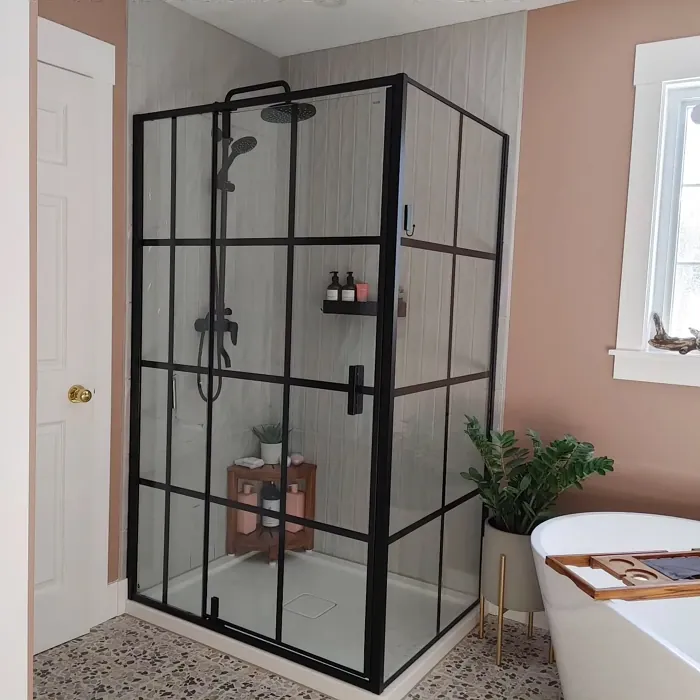 Sherwin Williams Redend Point stylish bathroom 