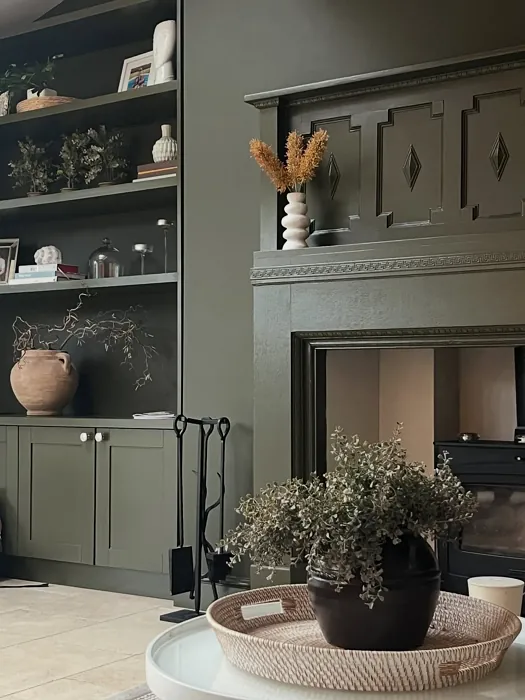 Farrow and Ball Reduced Green living room 