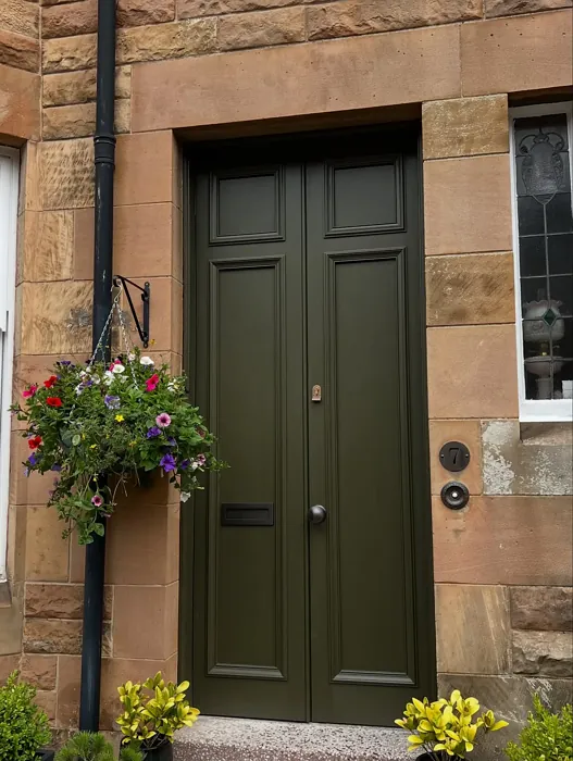 Farrow and Ball Reduced Green front door paint review